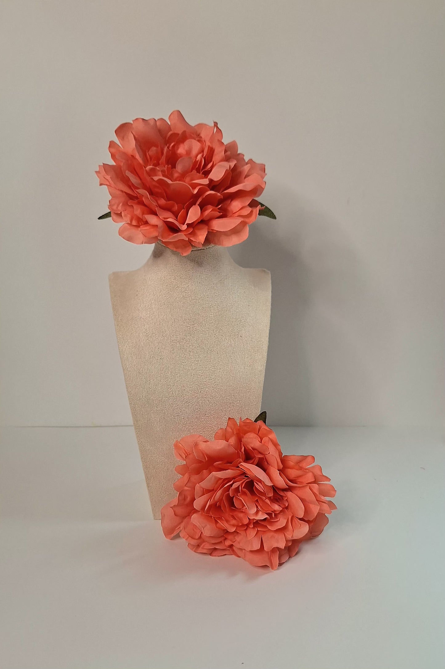 Peonia mediana coral flamenca