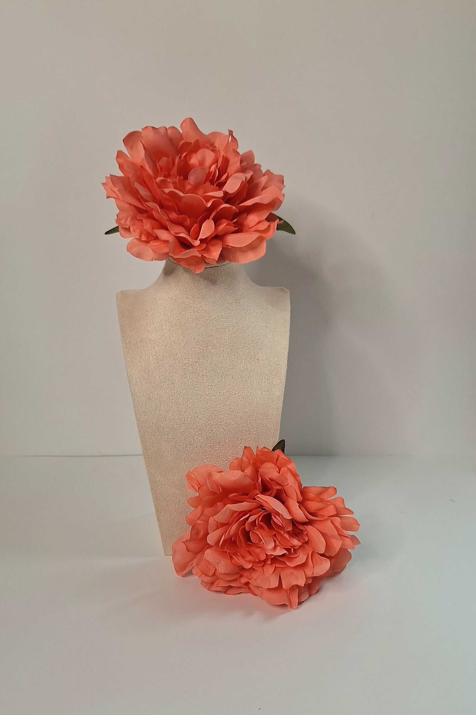 Peonia mediana coral flamenca