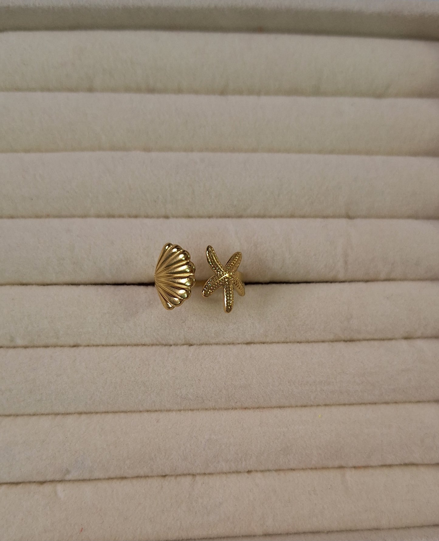 Anillo concha estrella