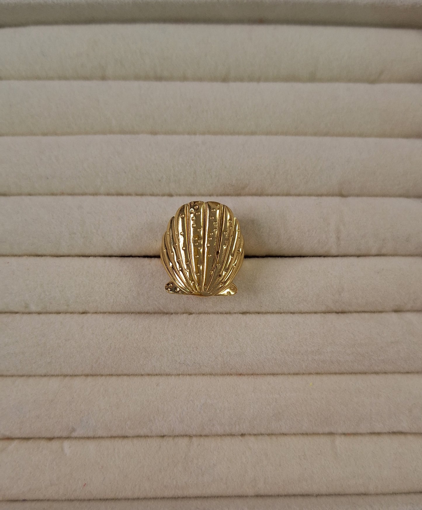 Anillo Concha