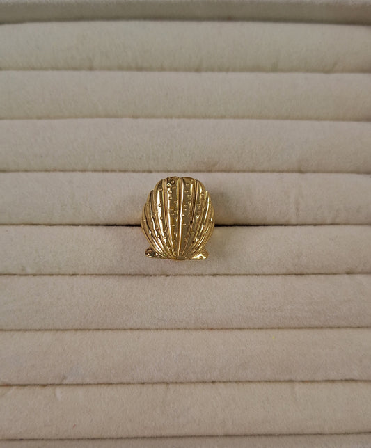 Anillo Concha
