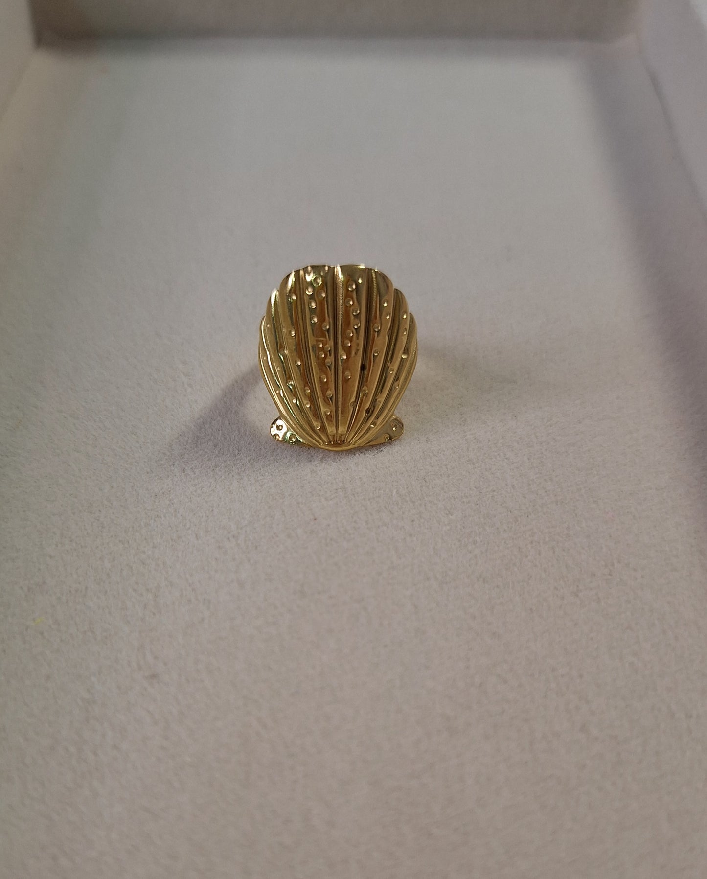 Anillo Concha