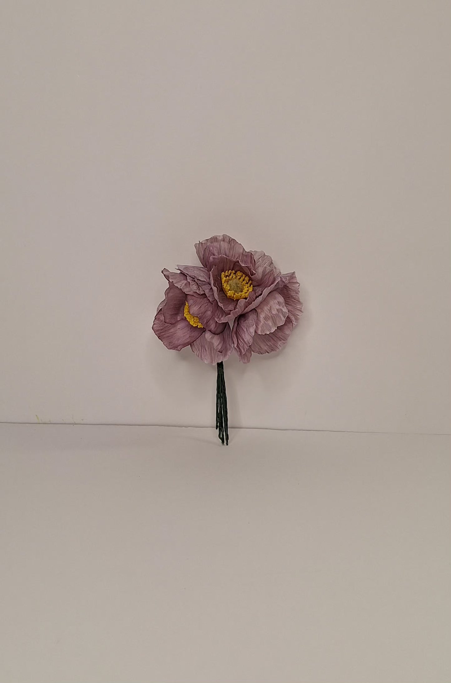 Amapolas