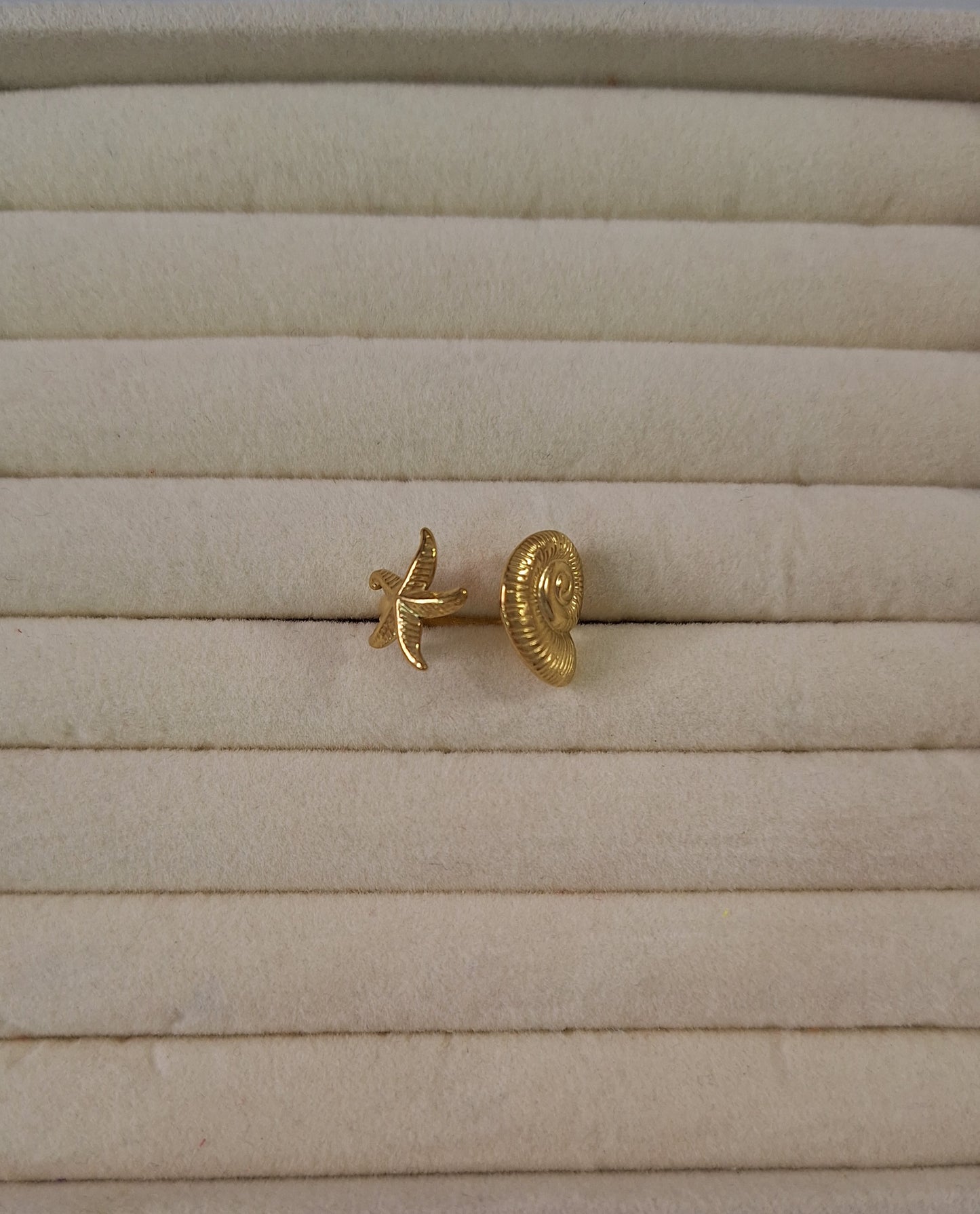 Anillo Estrella Caracola