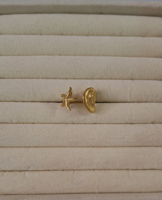 Anillo Estrella Caracola