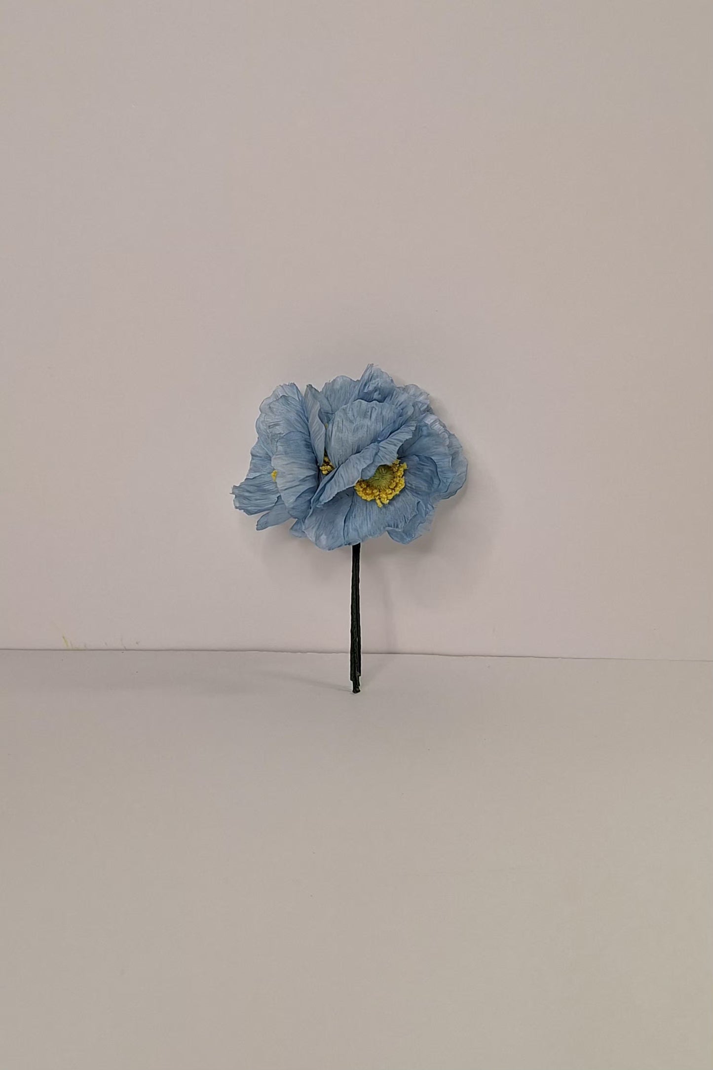 Amapolas